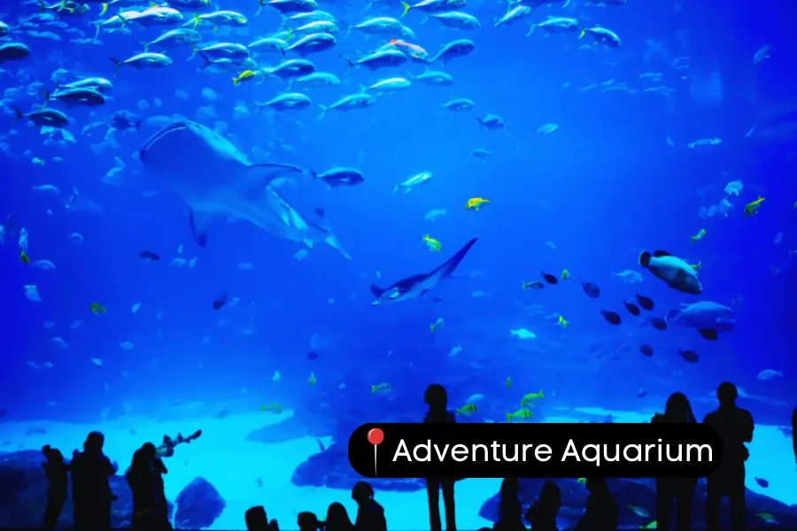 Adventure Aquarium New Jersey