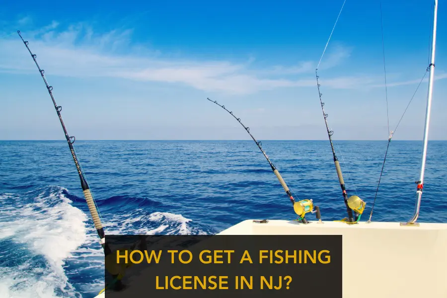 Steps to Get A Fishing License in New Jersey
